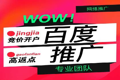 百度广告推广成功案例盘点